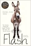 Flash: The Homeless Donkey Who Taught Me about Life, Faith, and Second Chances (Flash the Donkey)