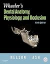 Wheeler's Dental Anatomy, Physiology and Occlusion