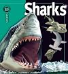 Sharks (Insiders)
