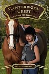 Take the Reins