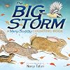 The Big Storm: A Very Soggy Counting Book
