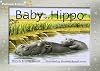 Baby Hippo