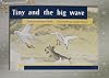 Tiny and the Big Wave