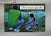 The rock pools