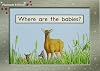 Where Are the Babies?