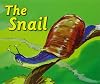 The Snail (Rigby Flying Colours)