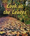 Look at the Leaves (Rigby Flying Colors)