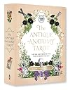 The Antique Anatomy Tarot Kit: Deck and Guidebook for the Modern Reader