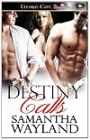 Destiny Calls