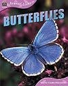 Butterflies (Animal Lives)