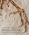 Birds of Stone: Chinese Avian Fossils from the Age of Dinosaurs