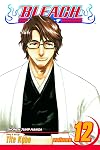 Bleach, Volume 12: Flower on the Precipice
