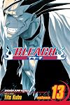 Bleach, Volume 13: The Undead