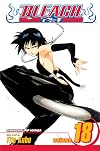 Bleach, Volume 18: The Deathberry Returns