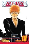 Bleach, Volume 19: The Black Moon Rising