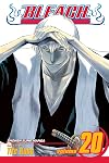 Bleach, Volume 20: End of Hypnosis