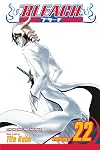 Bleach, Volume 22: Conquistadores