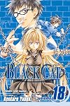 Black Cat, Volume 18