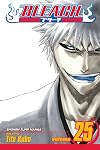 Bleach, Volume 25: No Shaking Throne