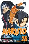 Naruto, Volume 25: Brothers