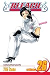 Bleach, Volume 26: The Mascaron Drive