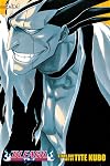 Bleach (3-in-1 Edition), Volume 5: The Undead