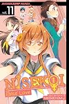 Nisekoi: False Love, Vol. 11: Bouquet