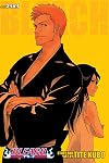 Bleach (2-in-1 Edition), Volume 25: Battlefield Burning