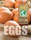 Eggs (Feeding the World)