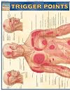 Trigger Points (Quick Study Academic)