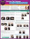 American Sign Language Conversation (Quick Study Academic)
