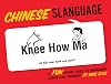 Chinese Slanguage: A Fun Visual Guide to Mandarin Terms and Phrases (English and Chinese Edition)