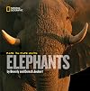 Face to Face with Elephants
