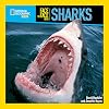 Face to Face with Sharks