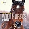 Face to Face with Wild Horses