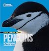 Face to Face with Penguins