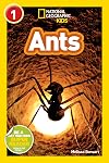 Ants (National Geographic Readers) (Level 1)
