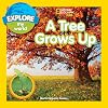 Explore My World: A Tree Grows Up