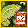 National Geographic Little Kids First Big Book of Reptiles and Amphibians