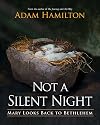 Not a Silent Night: Mary Looks Back to Bethlehem (Not a Silent Night Advent series)