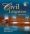 Civil Litigation