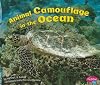 Animal Camouflage in the Ocean (Pebble Plus: Hidden in Nature)