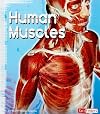 Human Muscles (Fact Finders: Anatomy Class)
