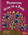 Blueberries Grow on a Bush (Pebble Books: How Fruits and Vegetables Grow)