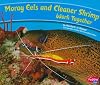 Moray Eels and Cleaner Shrimp Work Together (Pebble Plus: Animals Working Together)