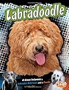 Labradoodle: A Cross between a Labrador Retriever and a Poodle (Snap Books: Designer Dogs)