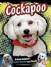 Cockapoo: A Cross Between a Cocker Spaniel and a Poodle (Snap Books: Designer Dogs)