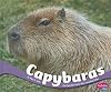 Capybaras (Pebble Plus: South American Animals)