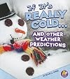 If It's Really Cold... and Other Weather Predictions (A+ Books: If Books)