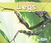 Legs (Acorn: Spot the Difference)